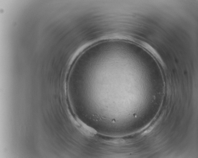 X0000063531388200601271850