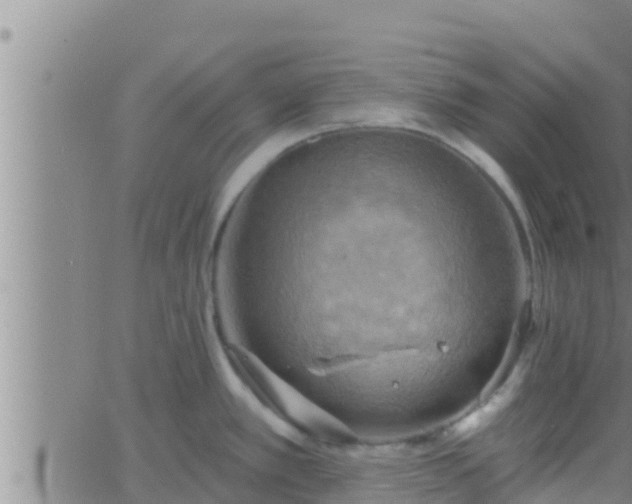 X0000063531389200601271850