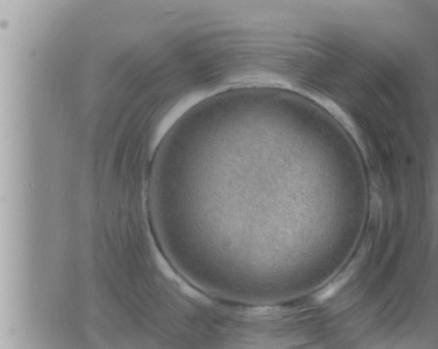 X0000063531390200601271850