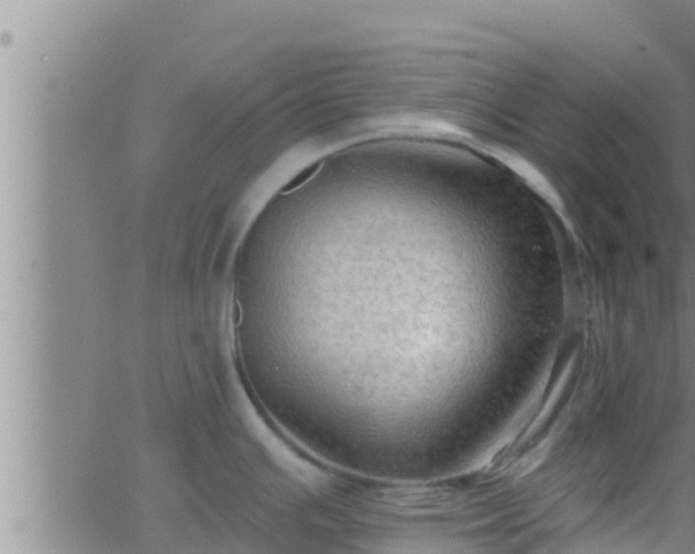 X0000063531391200601271850