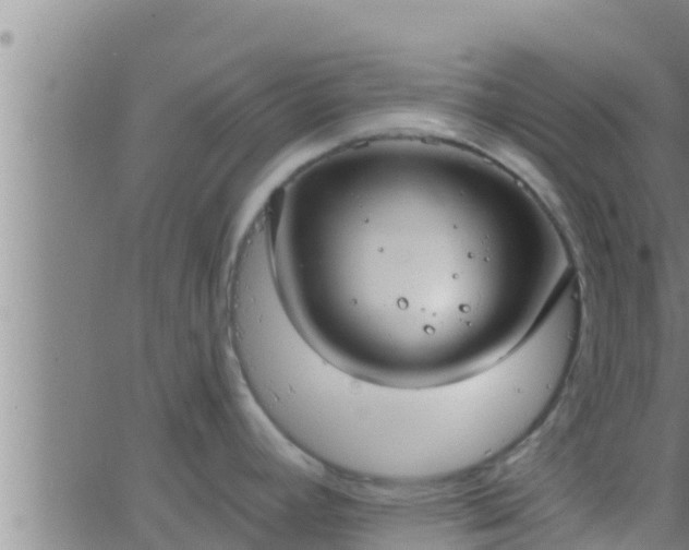 X0000063531392200601271850