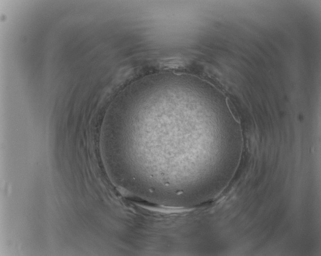 X0000063531393200601271849