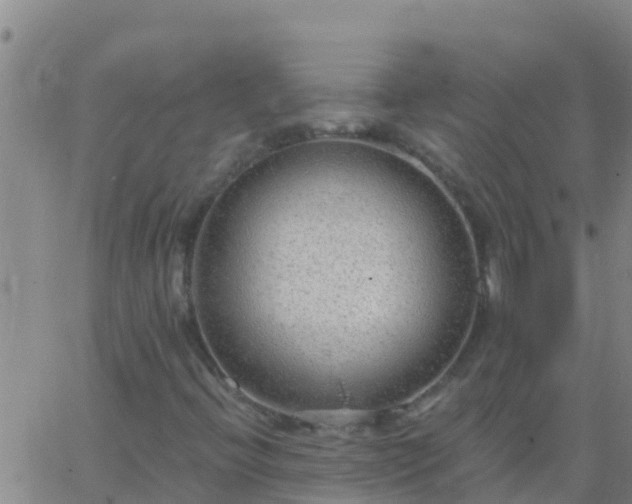 X0000063531396200601271849