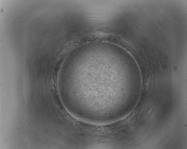 X0000063531397200601271849