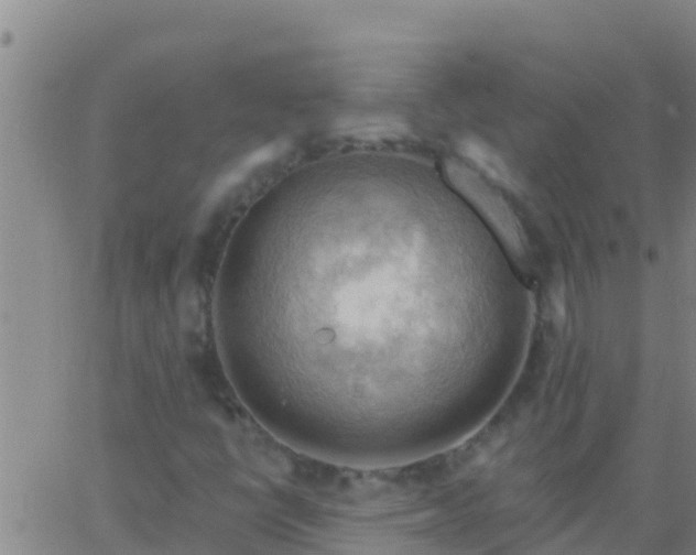 X0000063531398200601271849