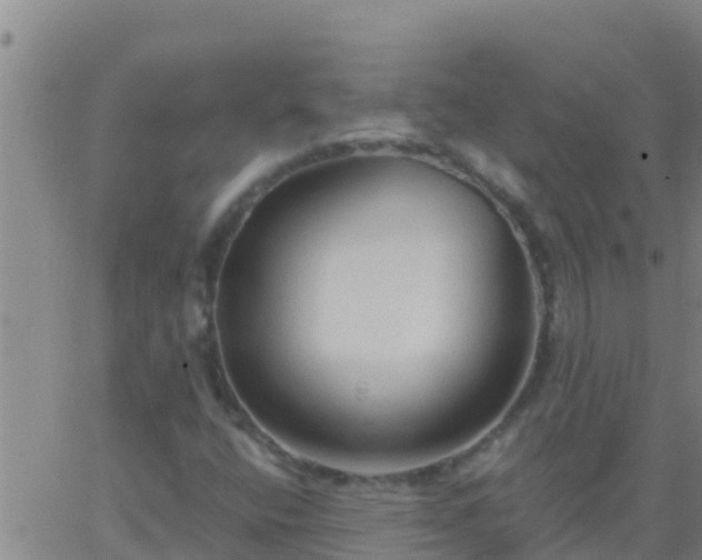 X0000063531400200601271849