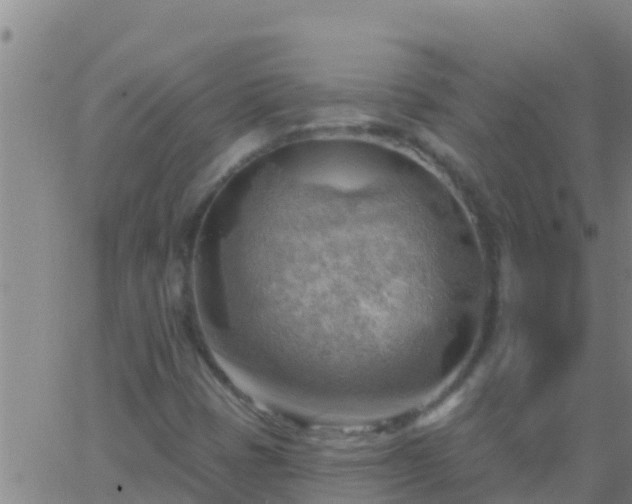 X0000063531401200601271849