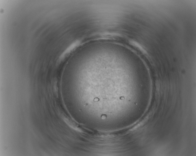 X0000063531403200601271849