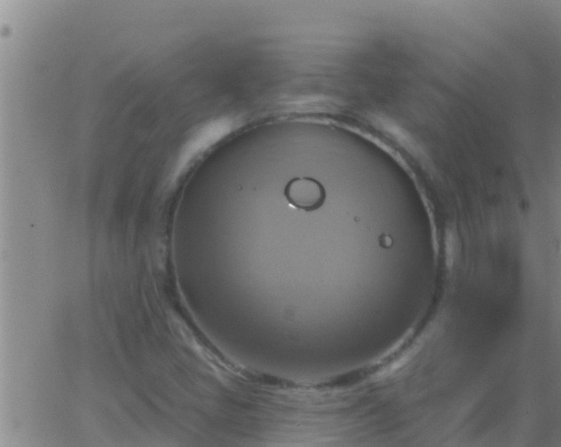 X0000063531405200601271849