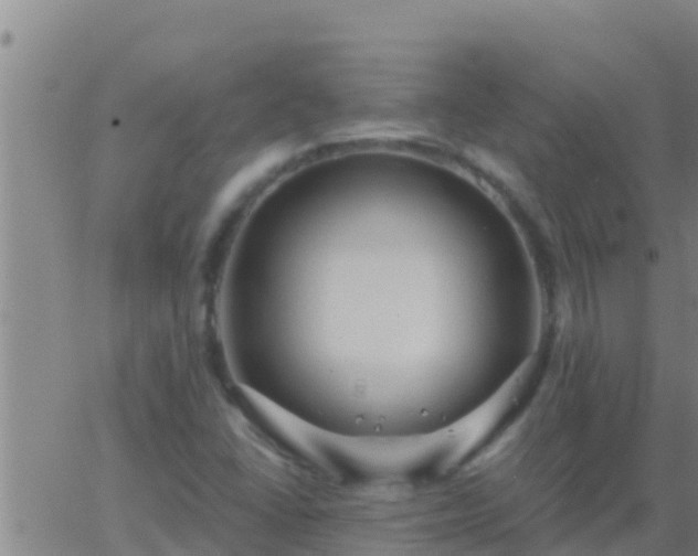 X0000063531406200601271849