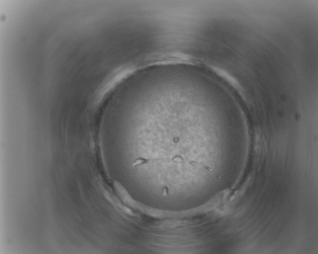 X0000063531407200601271849