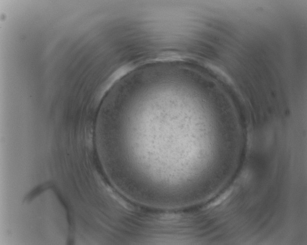 X0000063531409200601271849