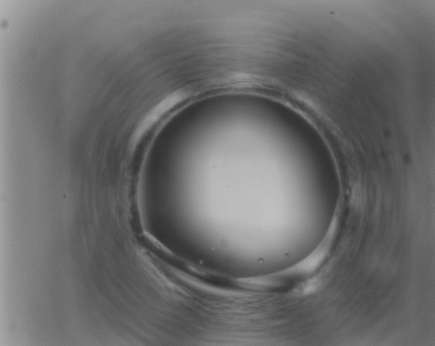 X0000063531410200601271849