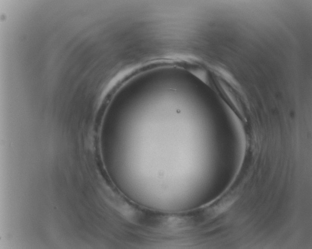 X0000063531412200601271849