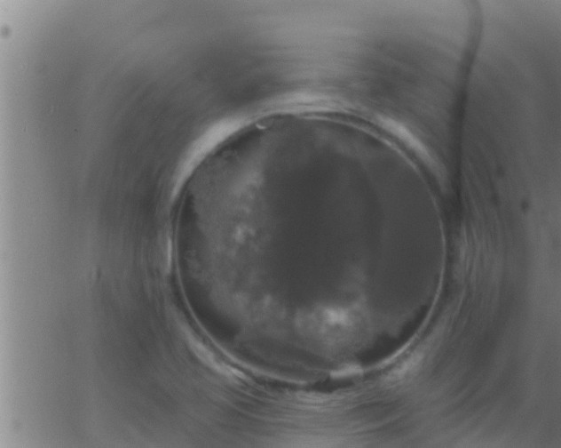 X0000063531413200601271849