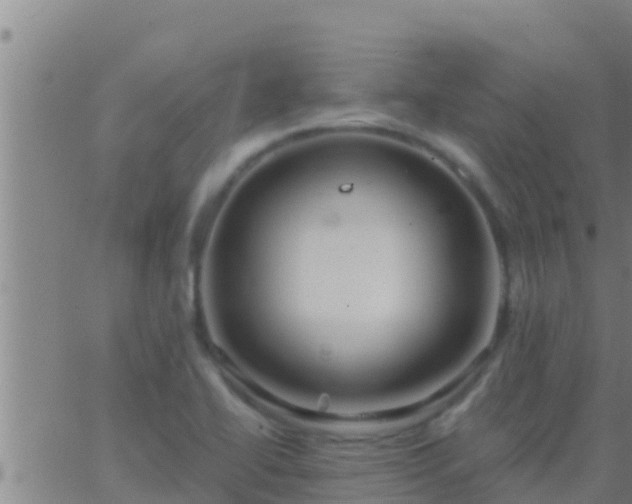 X0000063531414200601271849