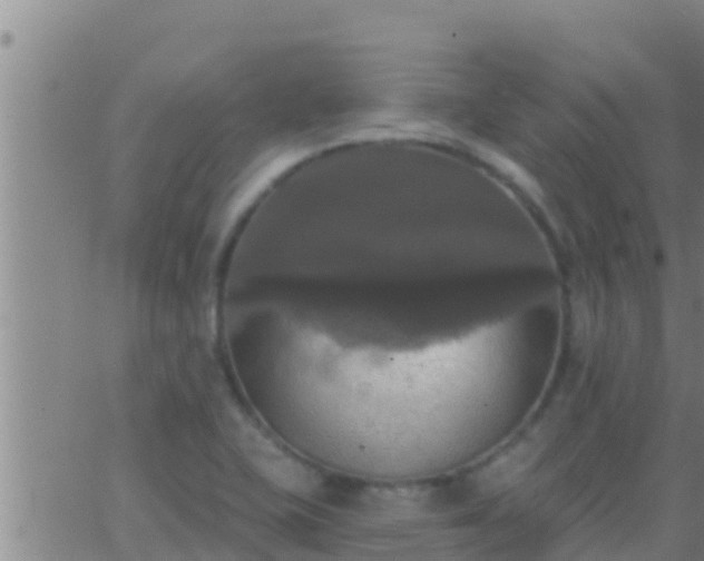 X0000063531415200601271849