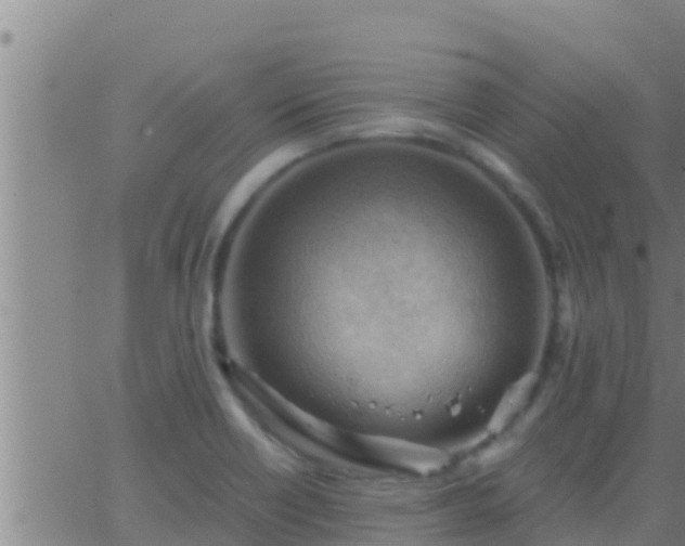 X0000063531418200601271849