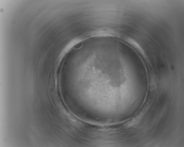 X0000063531419200601271850