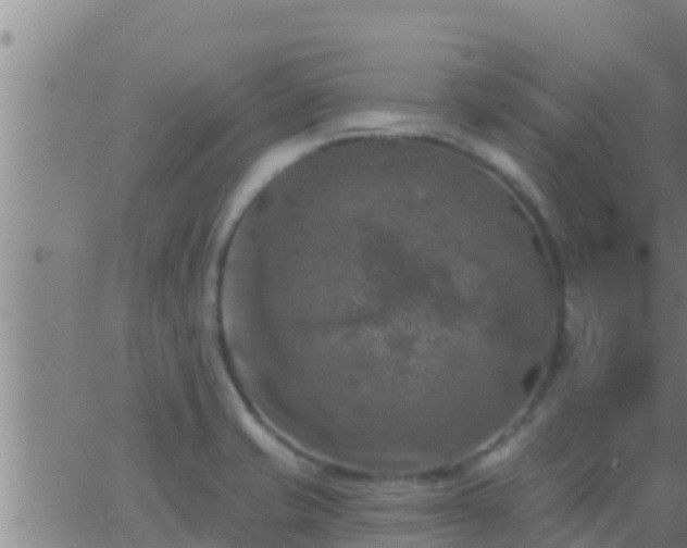 X0000063531421200601271850