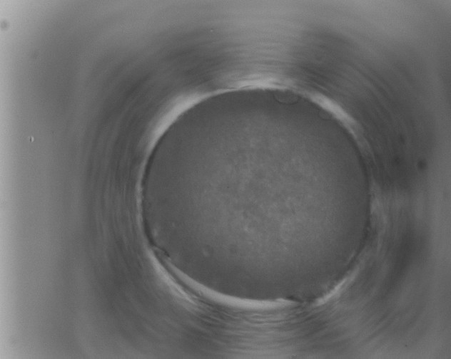 X0000063531423200601271850