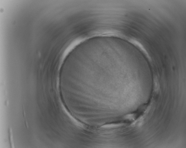 X0000063531424200601271850