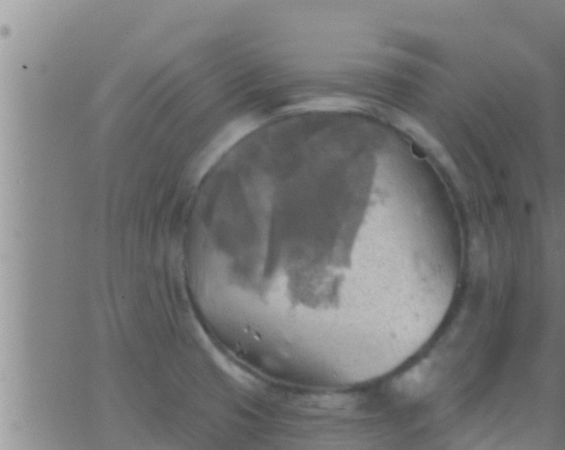 X0000063531425200601271850