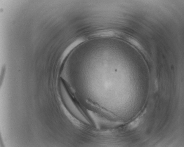 X0000063531426200601271850