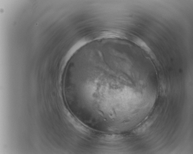 X0000063531427200601271850