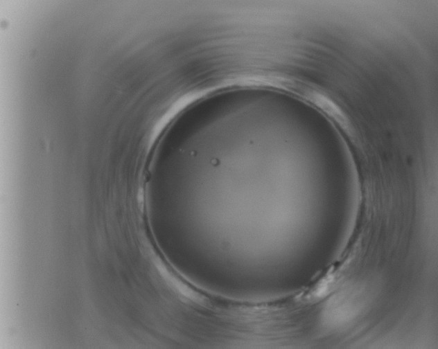 X0000063531428200601271850