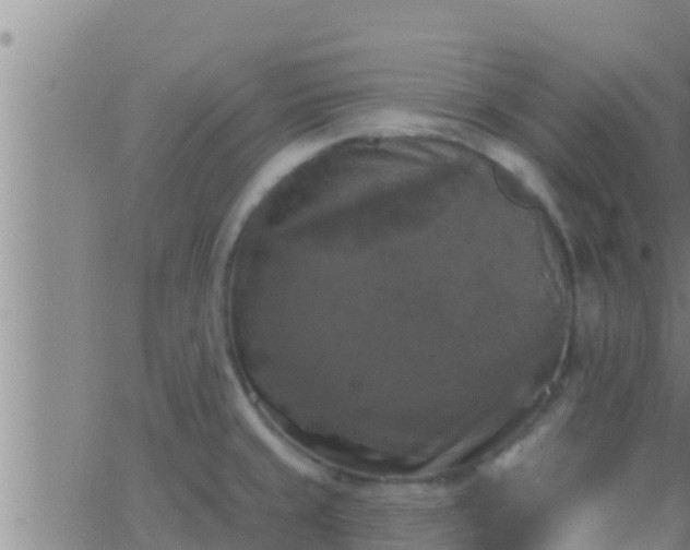 X0000063531429200601271850