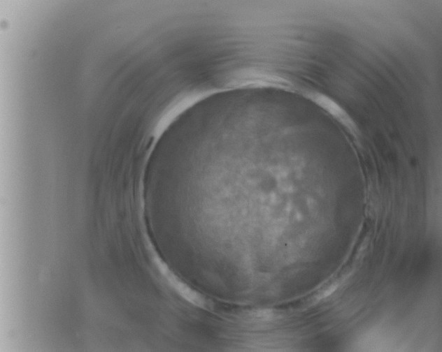 X0000063531431200601271850