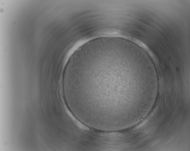 X0000063531432200601271850