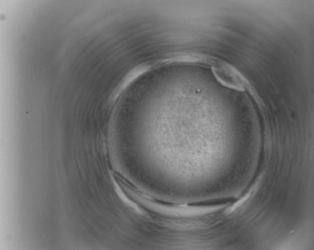 X0000063531433200601271850