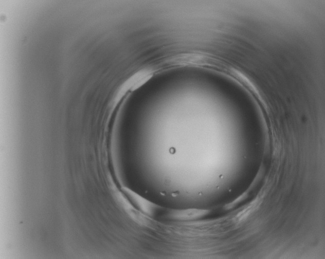 X0000063531434200601271850