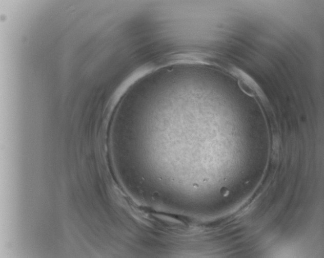 X0000063531435200601271850