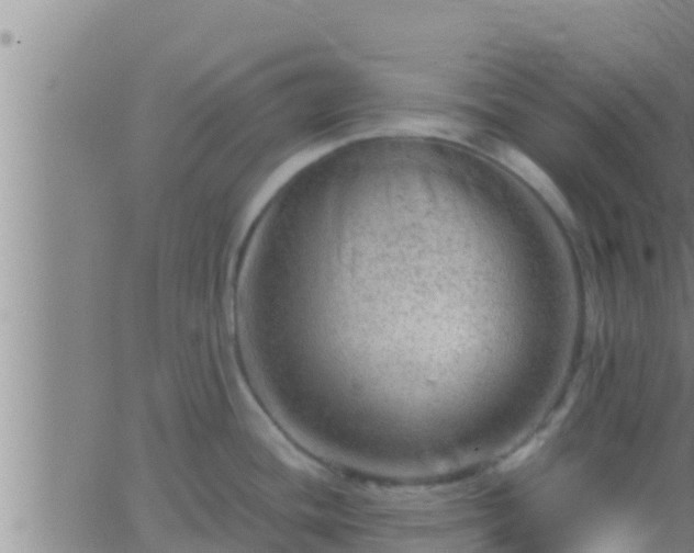 X0000063531436200601271850