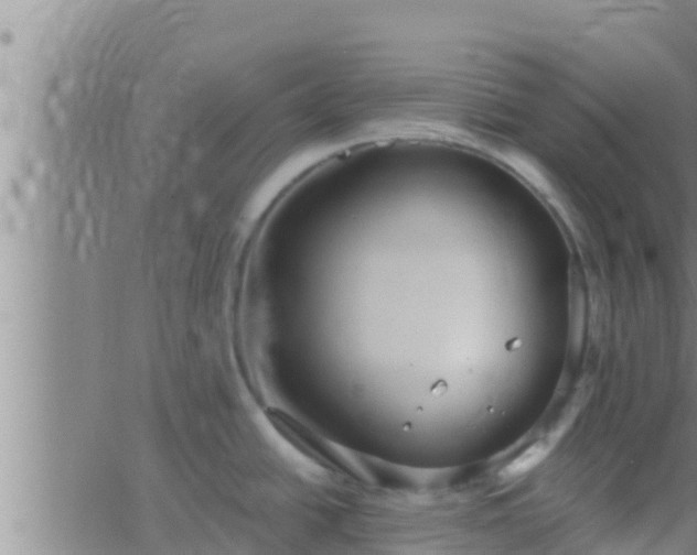 X0000063531438200601271850