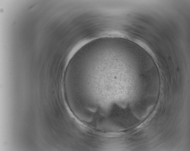 X0000063531440200601271850