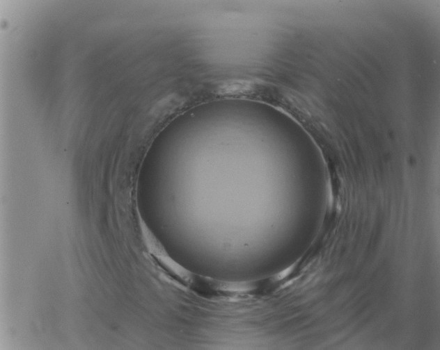 X0000063531441200601271849