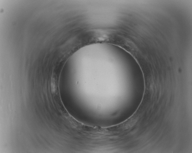 X0000063531442200601271849