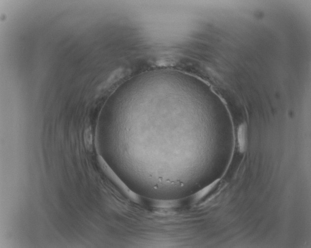 X0000063531443200601271849