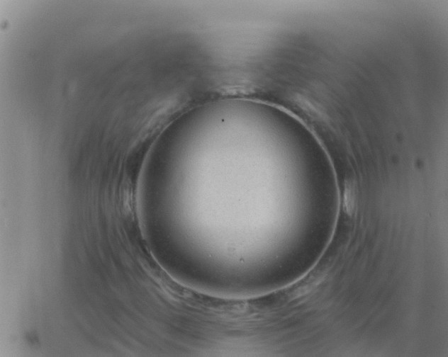 X0000063531444200601271849