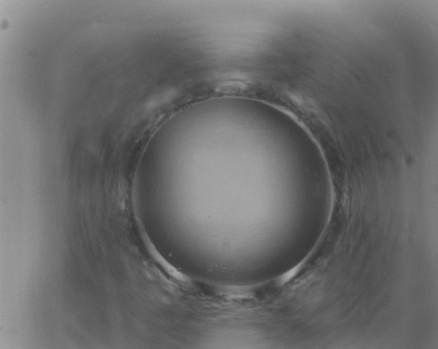 X0000063531445200601271849