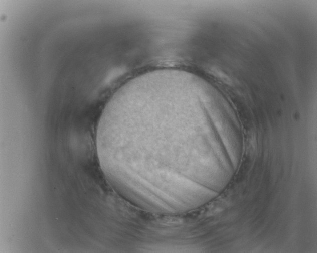 X0000063531446200601271849