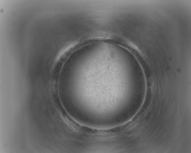 X0000063531448200601271849