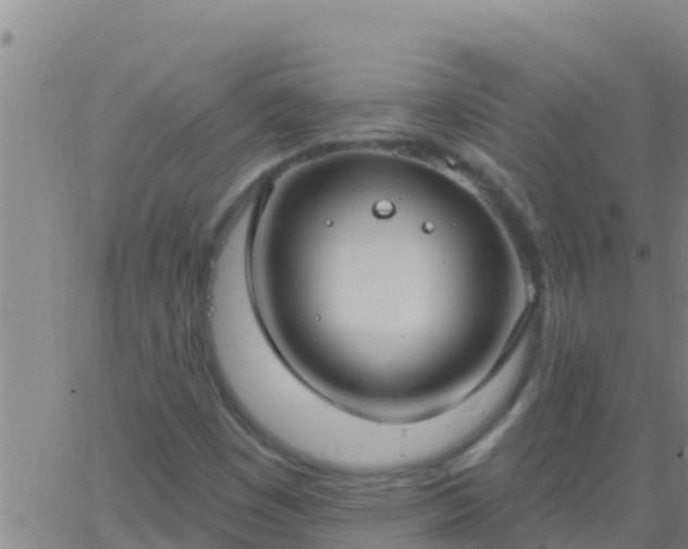 X0000063531449200601271849