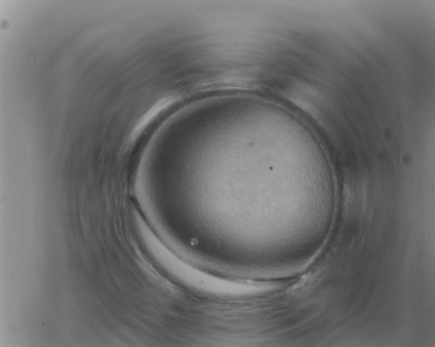 X0000063531450200601271849