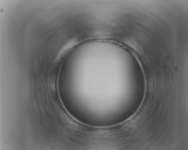 X0000063531451200601271849