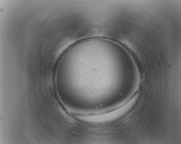 X0000063531452200601271849